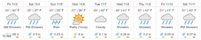 Fall (back) Safety Tips! - SDOT Blog