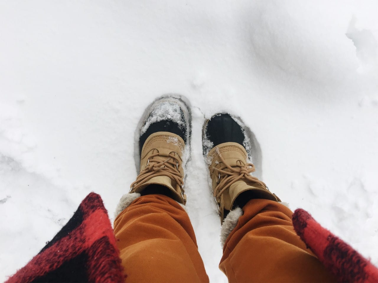 Snowy feet. Photo by Jeanne Clark
