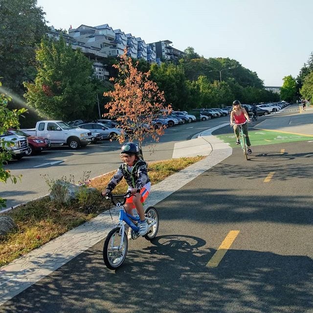 People biking on the Westlake protected bike lane on a sunny day.