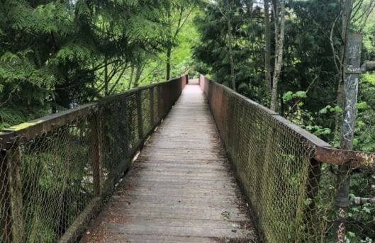 A photo of a bridge with trees around it.