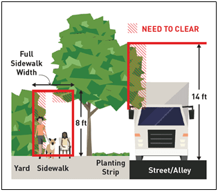  red in the graphic here are the property owner’s/resident's responsibility to maintain and keep clear for everyone’s safety and accessibility. This includes vegetation that intrudes on the the full sidewalk width, or under 8 ft of height. This also includes tree branches that extend into the street/alley up to 14 ft high.