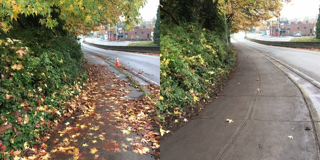 A sidewalk before and after a successful fall clearing! Photo Credit: SDOT Flickr. 
