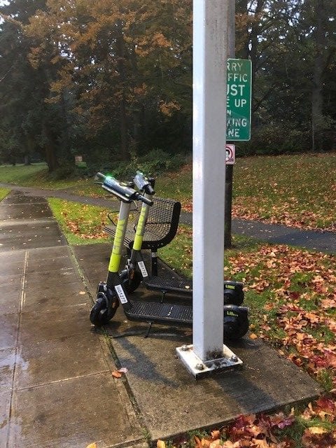 Two Link scooters parked just off the sidewalk near Lincoln Park on a rainy day.