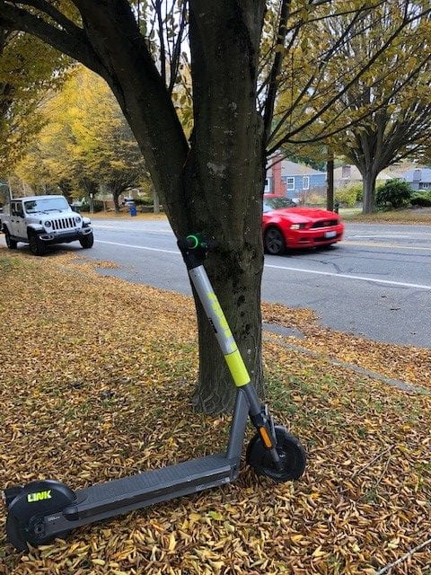 Link scooter leaning against a tree in West Seattle with yellow fall leaves on the ground around it.