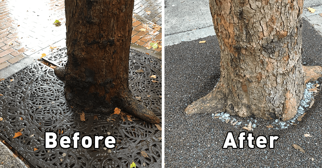 Two images. Left image has text that says "Before" and shows a tree trunk with roots pushing through sidewalk grate. Right image has text that says "After" and the same tree is shown without the grate and the roots intact.