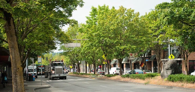 Street trees are shown in the median of a Seattle roadway..