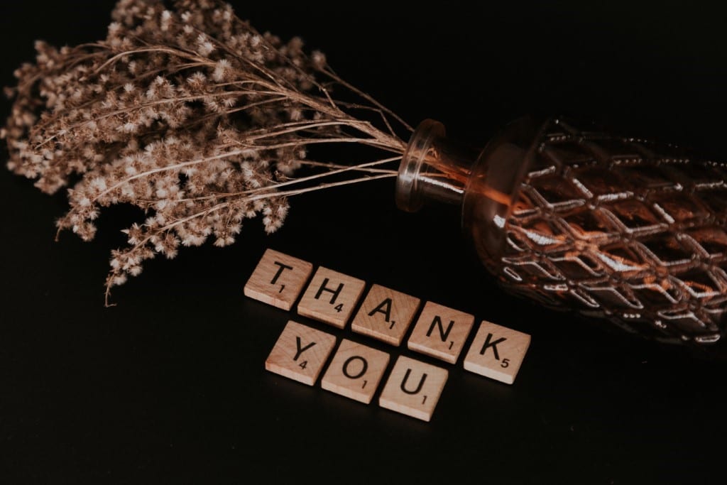 Scrabble tiles that spell out the words Thank You. Above the tiles rests foliage in a vase.