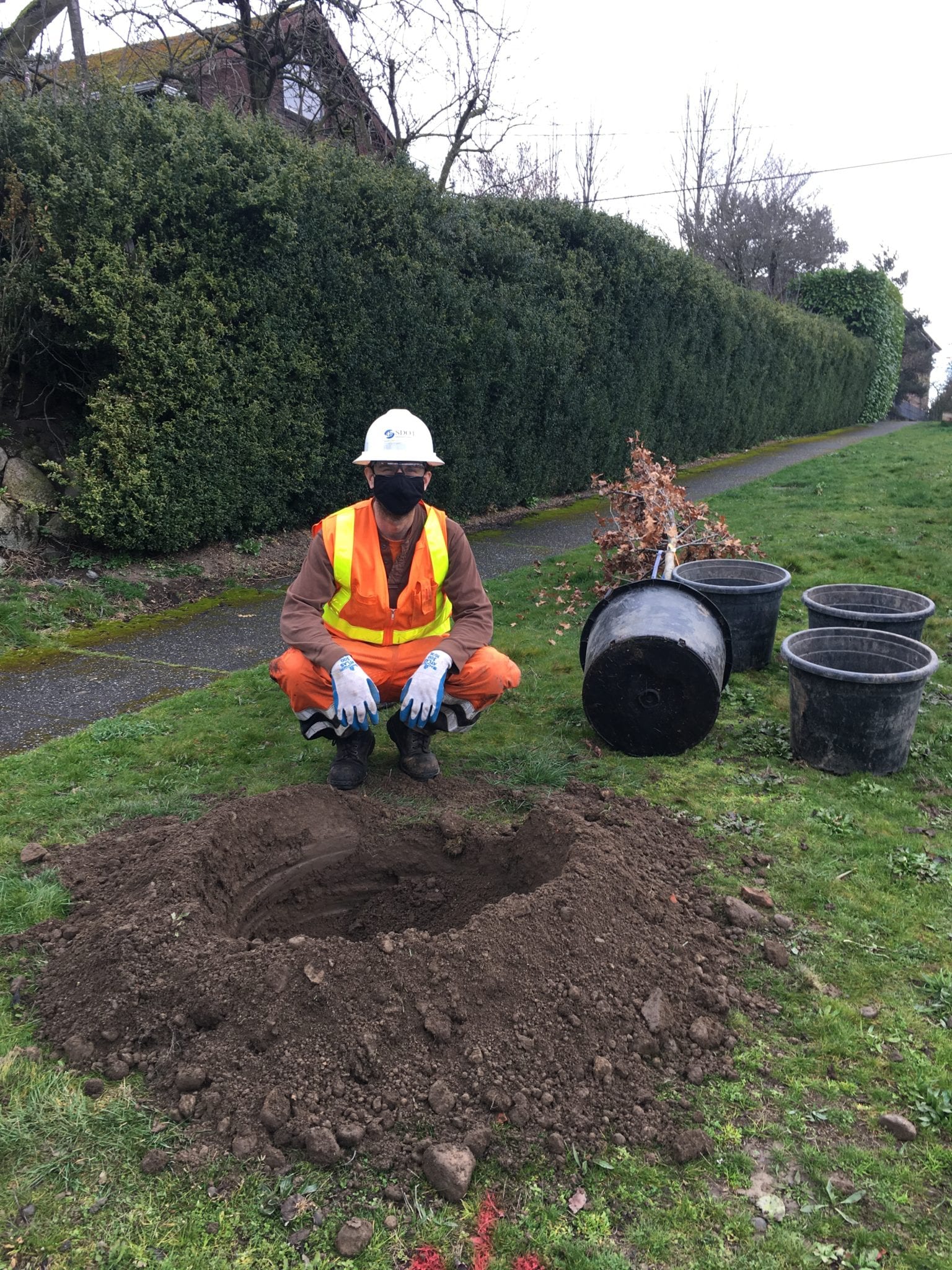 SDOT crew member gets ready to plant a new tree in South Park. Photo: Sherry Graham