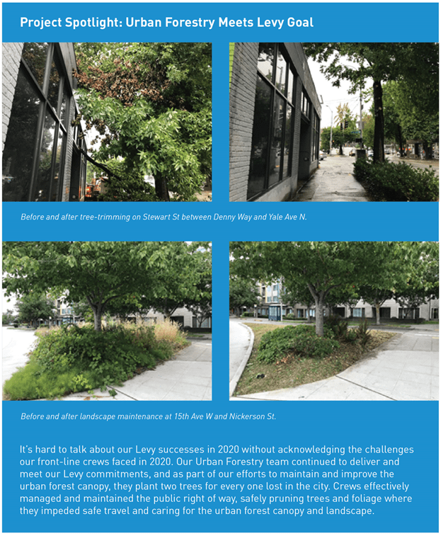 Before and after tree-trimming on Stewart St between Denny Way and Yale Ave N. 

Before and after landscape maintenance at 15th Ave W and Nickerson St. 

It’s hard to talk about our Levy successes in 2020 without acknowledging the challenges our front-line crews faced in 2020. Our Urban Forestry team continued to deliver and meet our Levy commitments, and as part of our efforts to maintain and improve the urban forest canopy, they plant two trees for every one lost in the city. Crews effectively managed and maintained the public right of way, safely pruning trees and foliage where they impeded safe travel and caring for the urban forest canopy and landscape.   