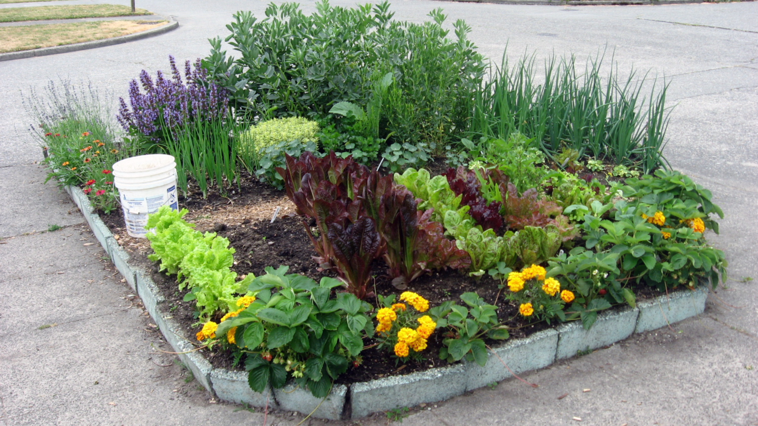 Happy Earth Day from all of us at SDOT! - SDOT Blog