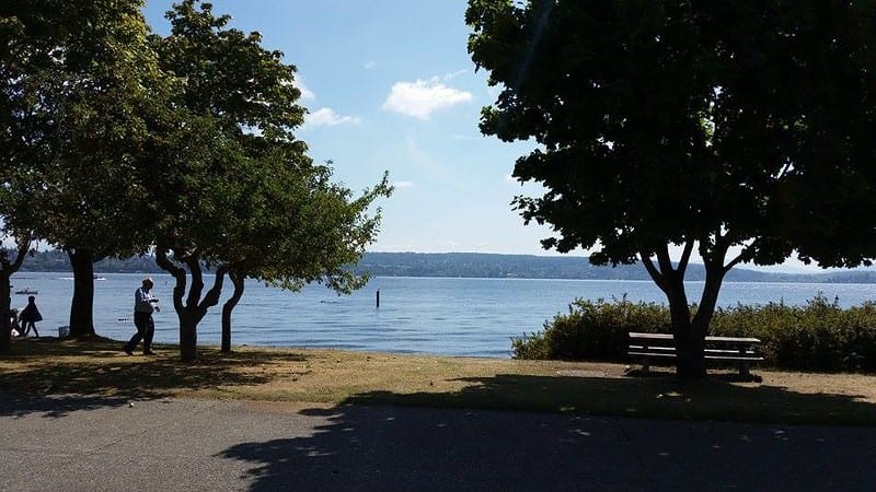 View of the water from Magnuson Park. 