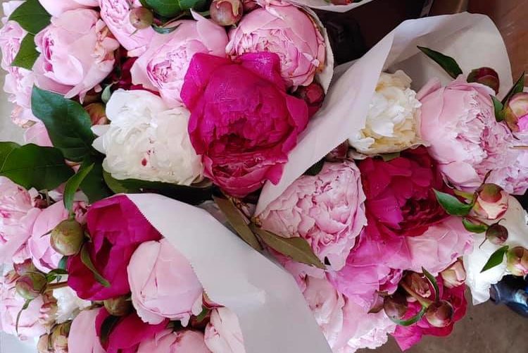 three bouquets of pink peonies