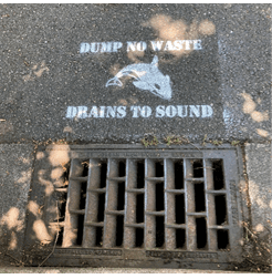 New sign on pavement that says "Dump no waste. Drains to Sound"