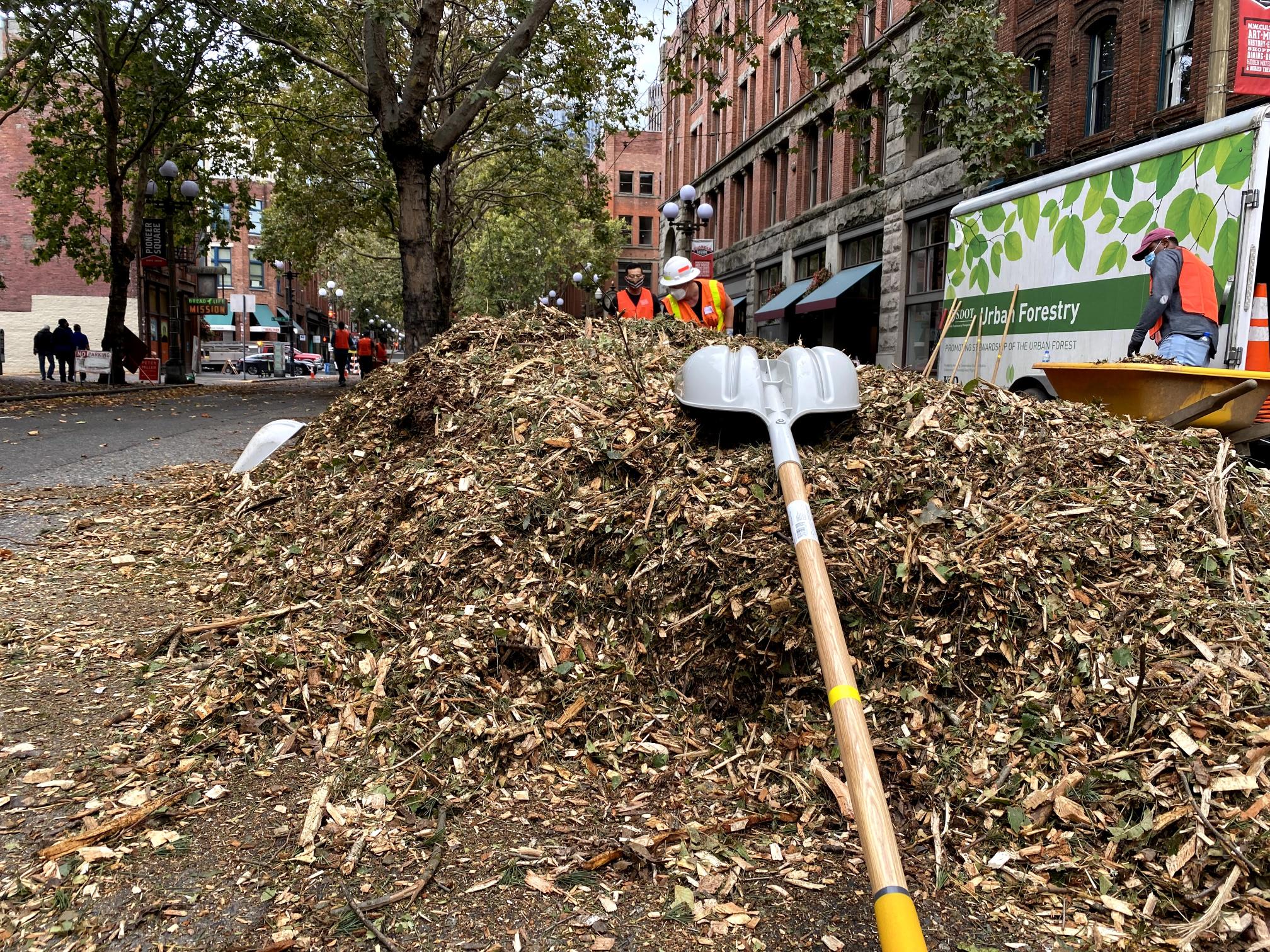 A large pile of mulch sits ready for installation in the roadway median along 1st Ave S in Seattle's Pioneer Square neighborhood. Trees, workers and brick buildings are visible in the background.