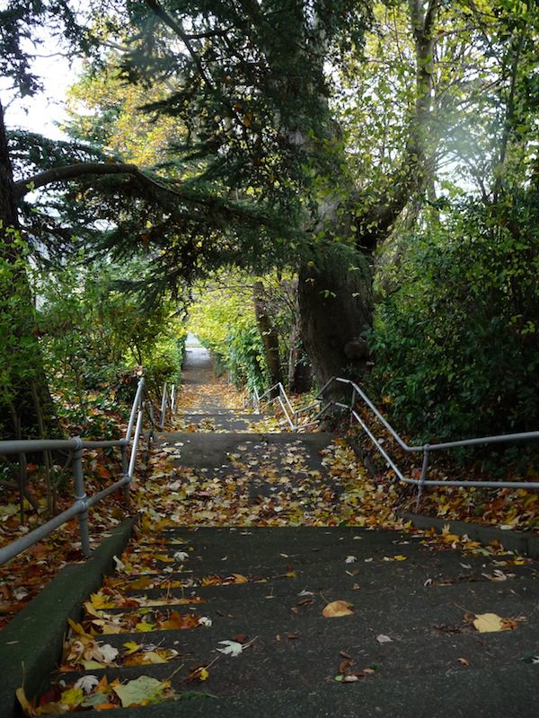 Photo of a staircase at 4th Ave in Seattle's Queen Anne neighborhood. The staircase spans most of the picture, and trees, vegetation, and fallen leaves can be seen throughout the image. The stairway extends down the hill toward the top middle part of the image.