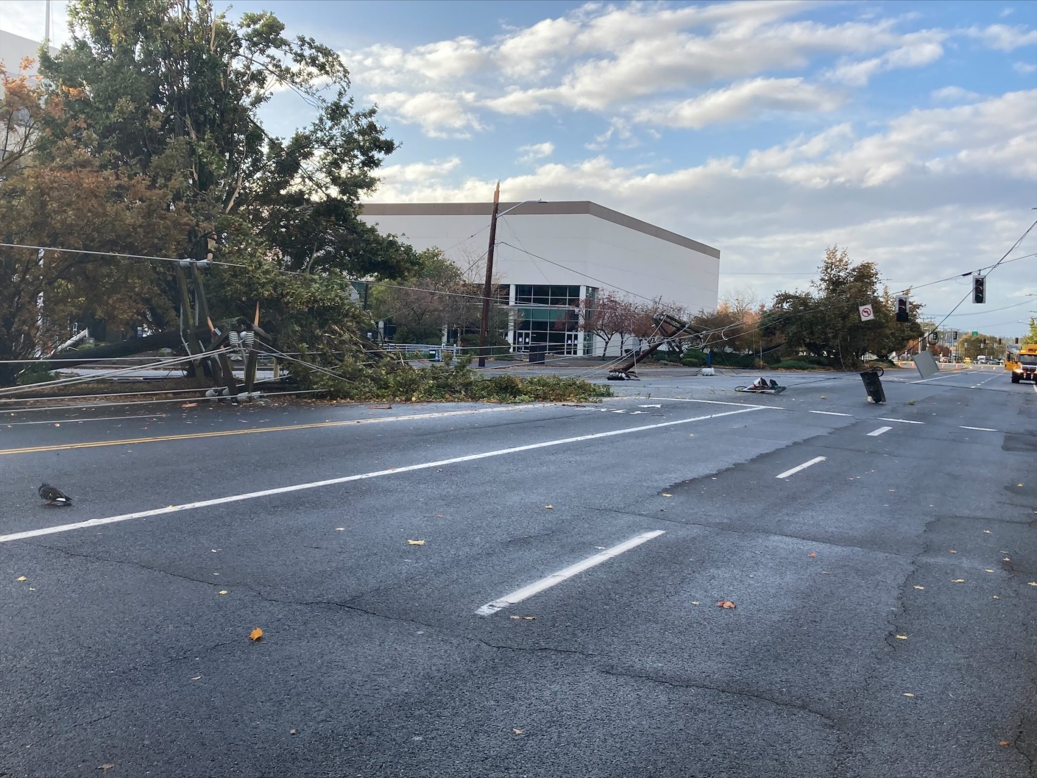 Photo of downed trees, power poles, power lines, and traffic signals on a section of E Marginal Way in Seattle. The road has been closed to ensure the safety of the traveling public while crews work to address the storm damage. Closed roadway lanes are visible in the foreground with trees and other debris in the upper left of the image.