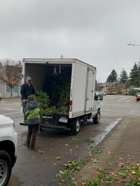 Staff from the Woodland Park Zoo pick up tree cuttings to take back to the zoo animals. 