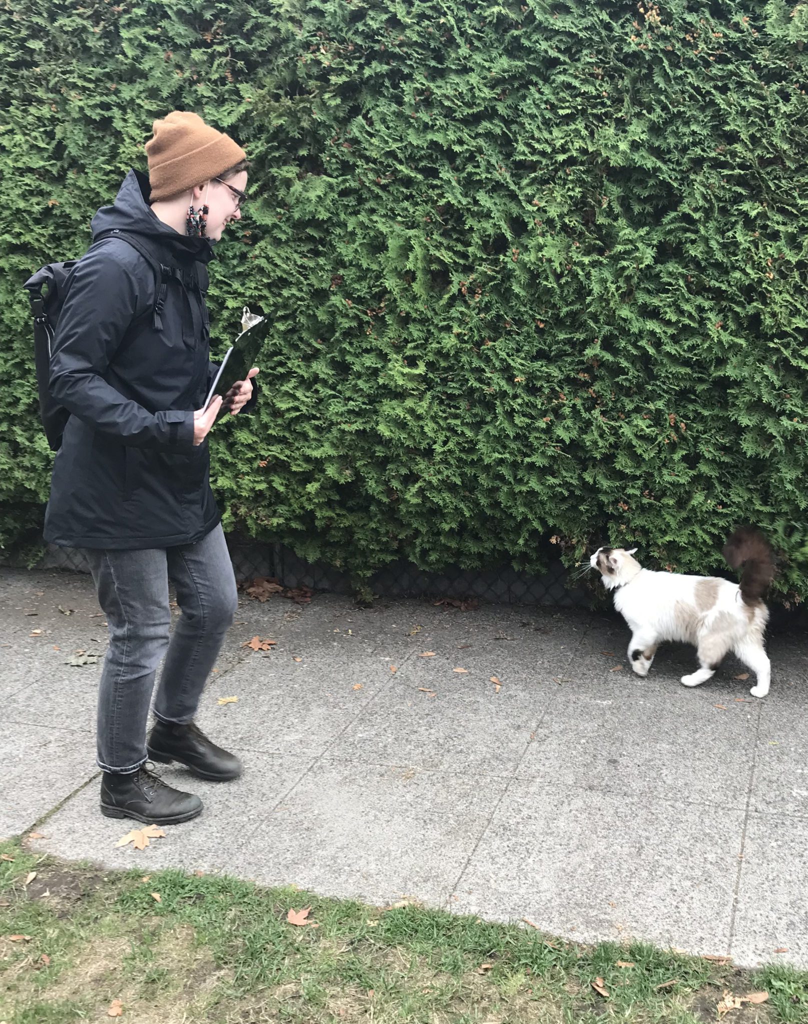 Susanna Ryan, a woman wearing a black jacket and holding a clipboard, walks along a sidewalk in Seattle, where she encounters a white cat. Green hedges are visible in the background.