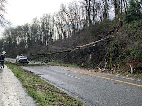 A tree fell across Highland Park Way SW and powerlines in West Seattle today, closing the street to all traffic. The SDOT response team is working to clear the fallen tree. Photo Credit: SDOT. 
