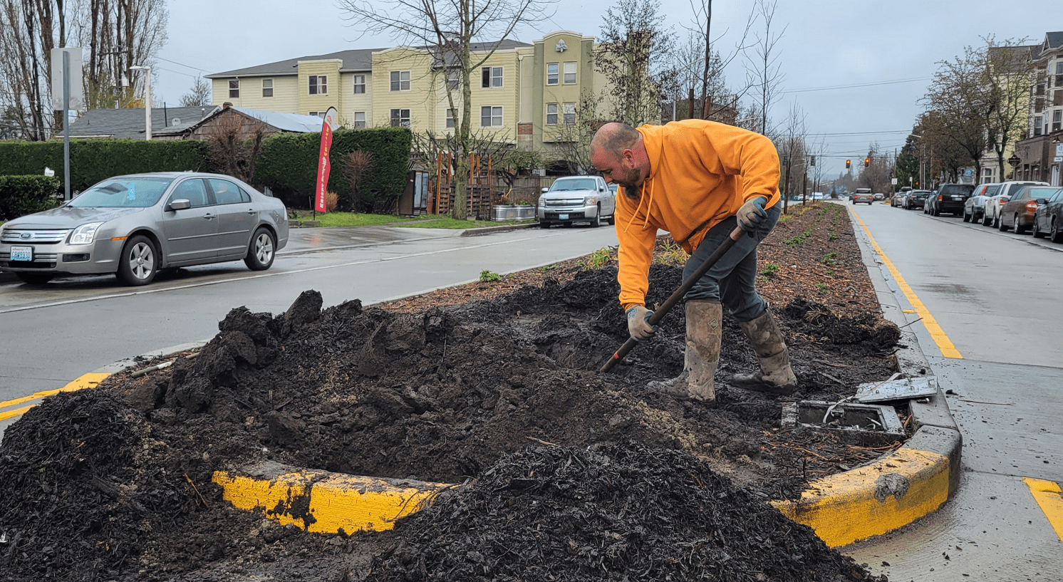 A man wearing an orange sweatshirt works using a shovel in the center median of Delridge Way SW. Cars and buildings, as well as travel lanes, are visible in the background.