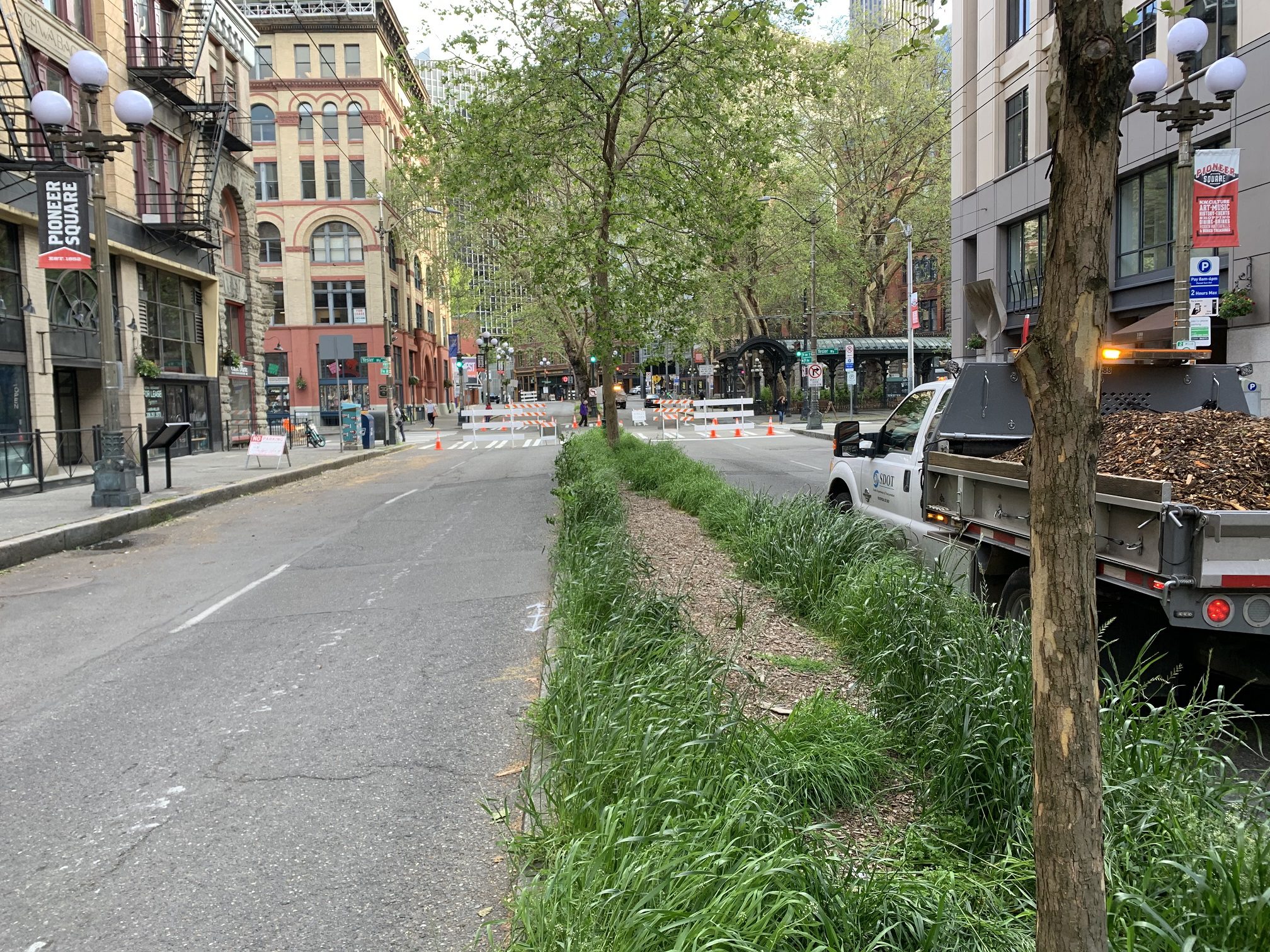 The median along 1st Ave S, before volunteer efforts on May 21.