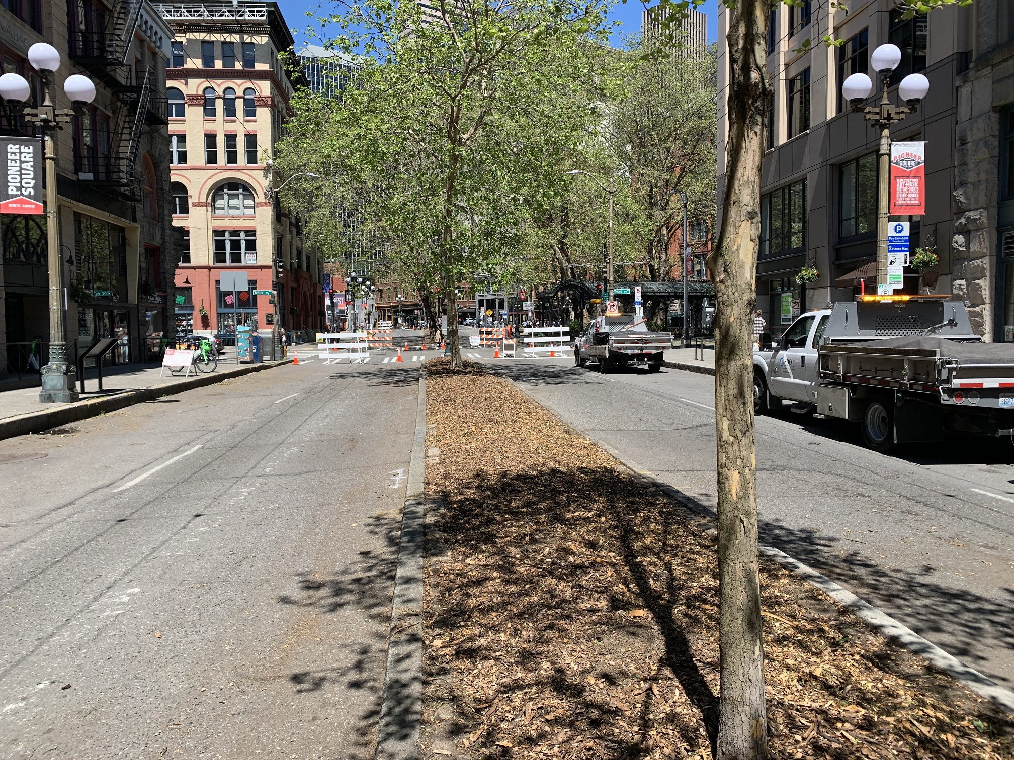 The median along 1st Ave S, after volunteer efforts on May 21.