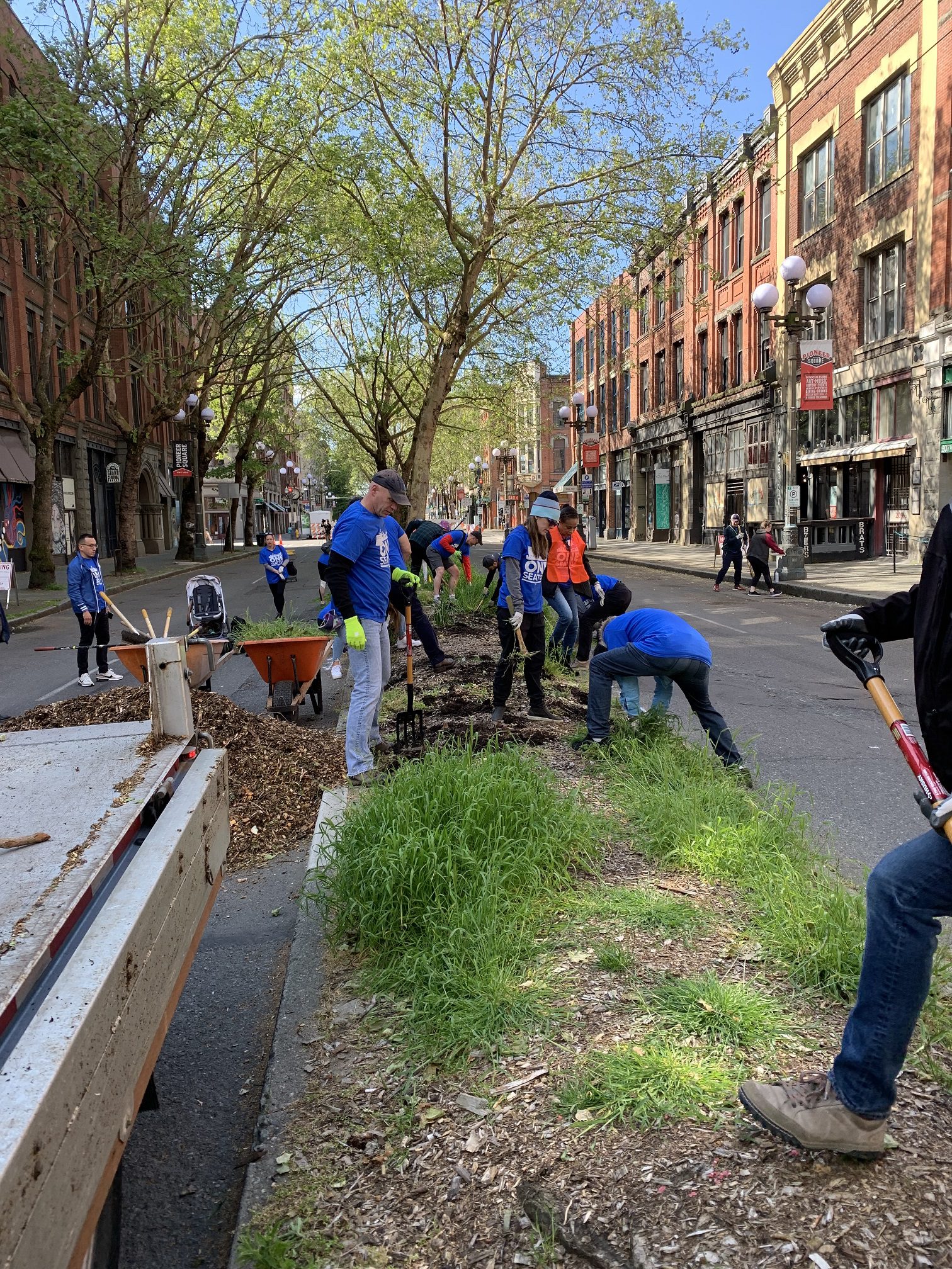 Community volunteers work hard to clear the center medians along 1st Ave S.