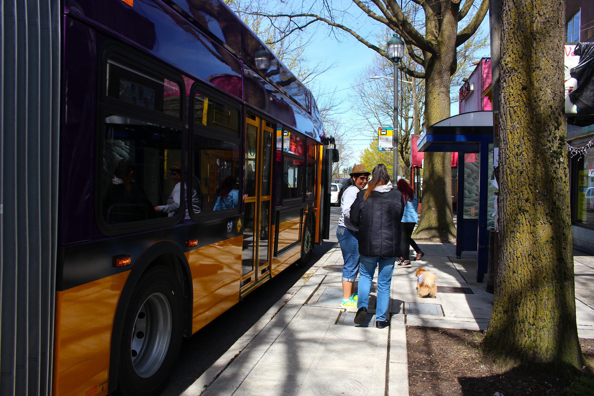 People get on the bus at a bus stop on Rainier Ave S. Trees are visible in the background.