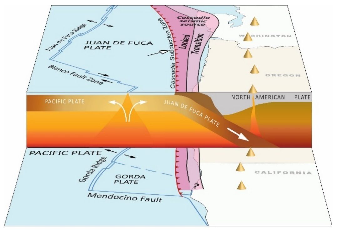 Map of the Cascadia Subduction Zone. A map showing the West Coast of the United States includes various fault lines and potential earthquake areas, as well as the Pacific Ocean in light blue.