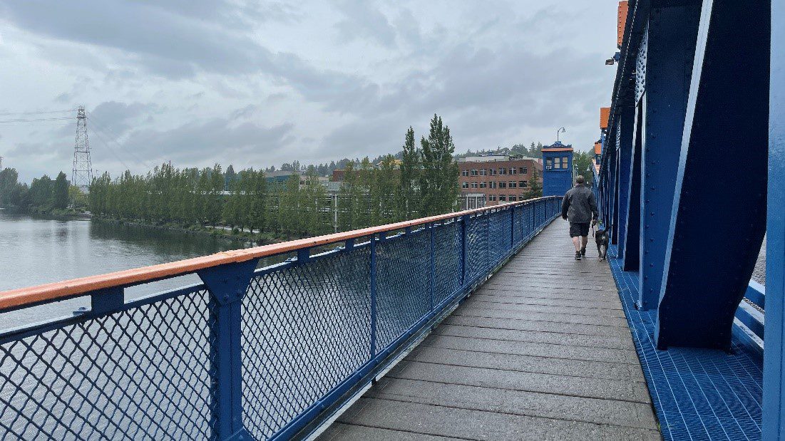 A person walking their dog across the Fremont Bridge. A blue handrail is on the left side of the image, with large green trees and cloudy skies in the background.
