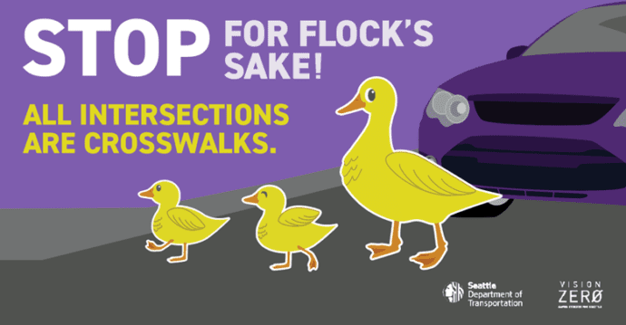 VISION ZERO | Stop for Flock's Sake! Every intersection is a crosswalk ...