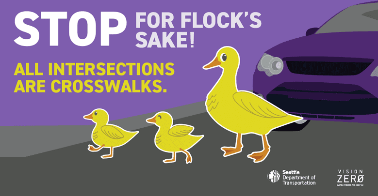 An image of three ducks, one larger duck and two younger ducks, crossing the street. A purple car is in the background, waiting for the ducks to cross, aware and informed that drivers must stop for pedestrians at practically every intersection on Seattle’s streets. Text reads: “STOP for Flock’s Sake! All intersections are crosswalks.”