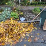 A large pile of leaves next to the curb and sidewalk. A rake and green yard waste bin are on the right side of the photo.