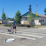 A West Seattle community member crosses SW Henderson St at 17th Ave SW where we installed a pedestrian crosswalk sign that flashes to let people driving know to stop for people crossing. The person walks their dog across the street on a clear, sunny day.