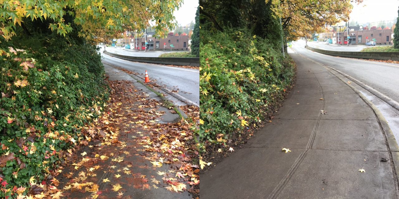 A sidewalk before and after a successful fall clearing! The left photo has leaves all across the sidewalk, while the right photo has the sidewalk cleared without leaves. 