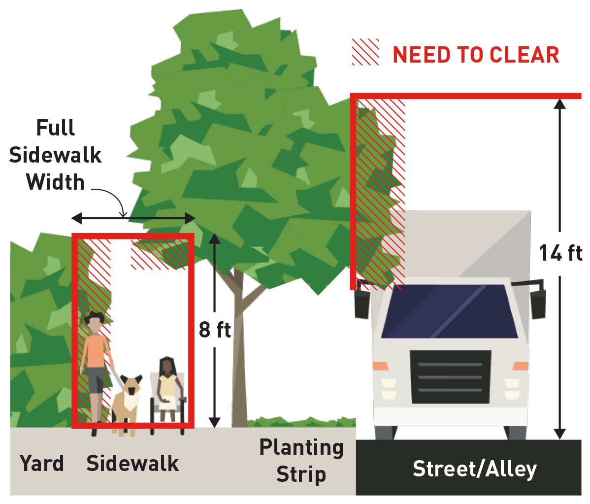 Graphic showing the locations where residents and business owners need to keep sidewalks clear of vegetation. The graphic shows a large shrub and large tree, with red outlining to show where the tree and vegetation need to be cleared, including an 8 foot clearance over the sidewalk and 14 foot clearance over any streets or alleys.