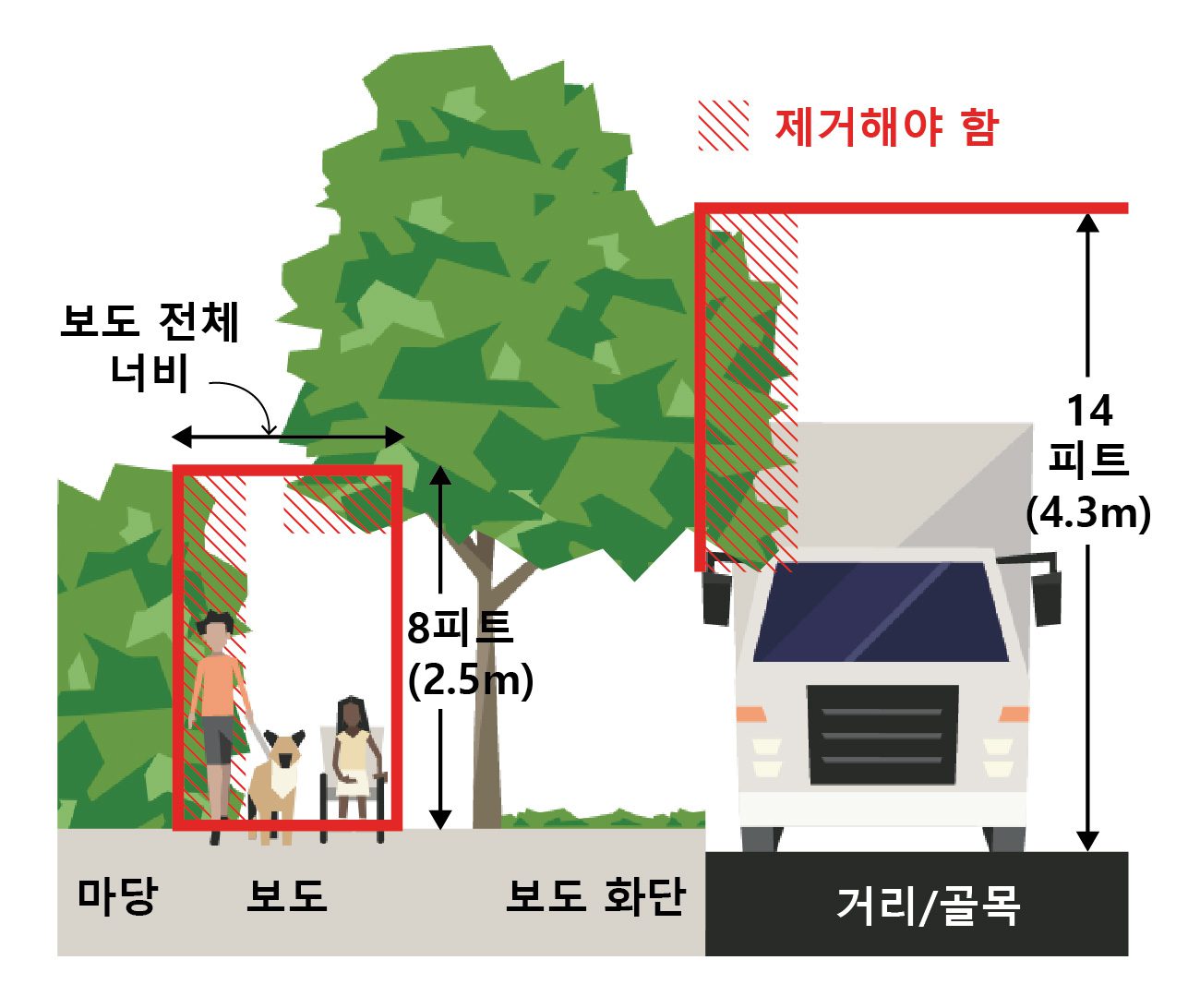 이 그림에서 빨간색으로 표시된 구역은 모든 사람의 안전과 접근성을 위해 관리하고 장애물이 없도록 치워야 하는 책임이 건물 소유자 또는 거주자에게 있습니다. 여기에는 보도 전체 너비를 침범하거나 높이가 8피트(2.5m) 미만인 초목이 포함됩니다. 여기에는 또한 거리나 골목으로 최대 14피트(4.3m) 높이까지 뻗어 있는 나뭇가지들도 포함됩니다. 이미지 제공: SDOT.