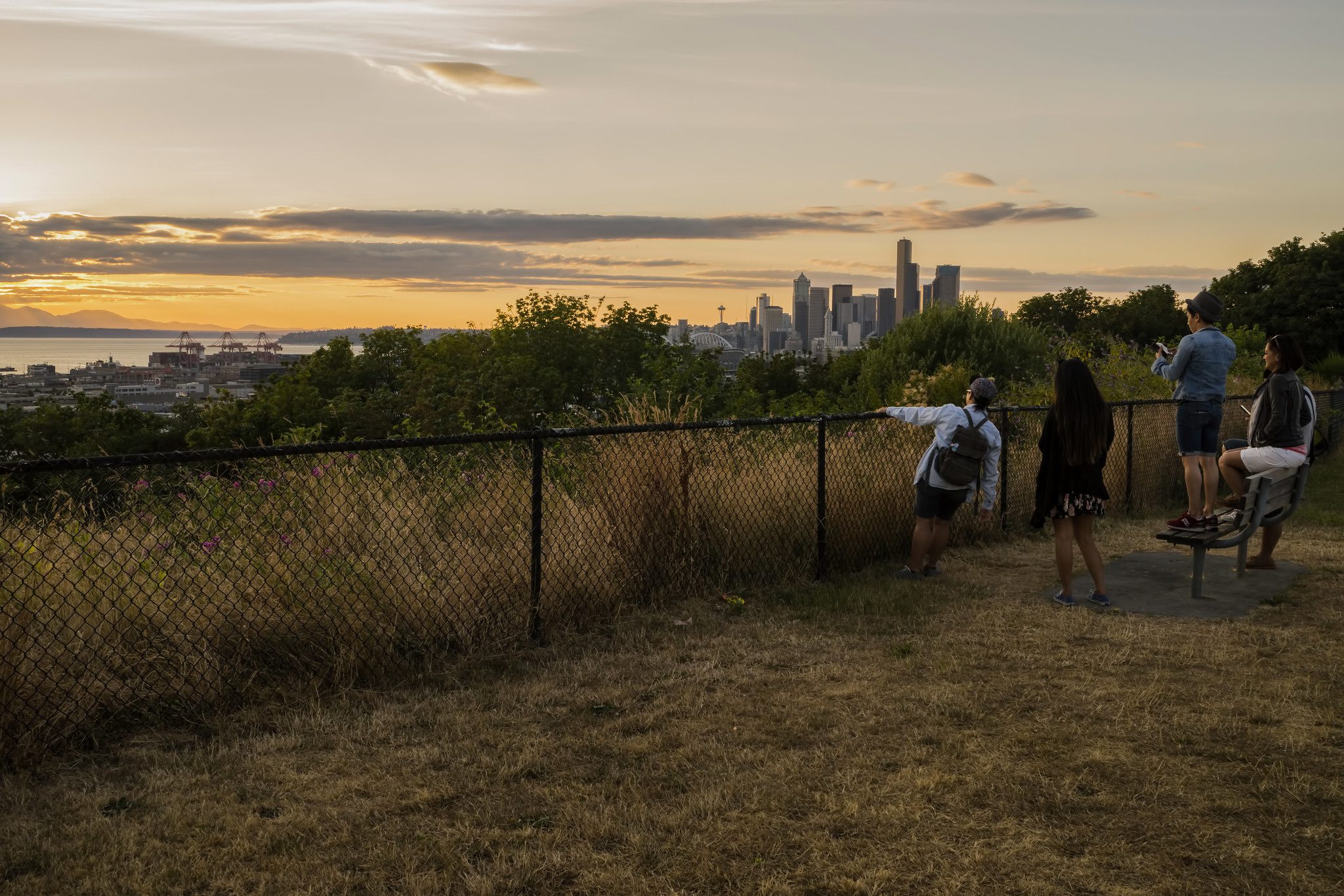 People gather at a viewpoint in Beacon Hill to view downtown Seattle in the late evening as the sun sets. Grass, a bench, and a black fence are in the foreground, with city views, clouds, and yellow-gray sky in the background.