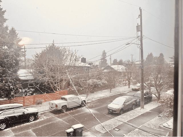 Snow in West Seattle this morning. 