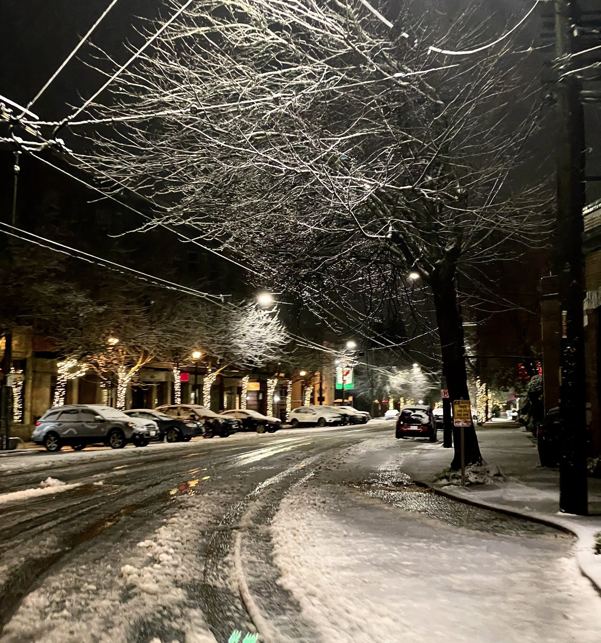 Photo of many parked cars along a street in Seattle on a dark evening. Trees and large buildings, as well as street lights, are in the background, with snow and slush in the foreground.