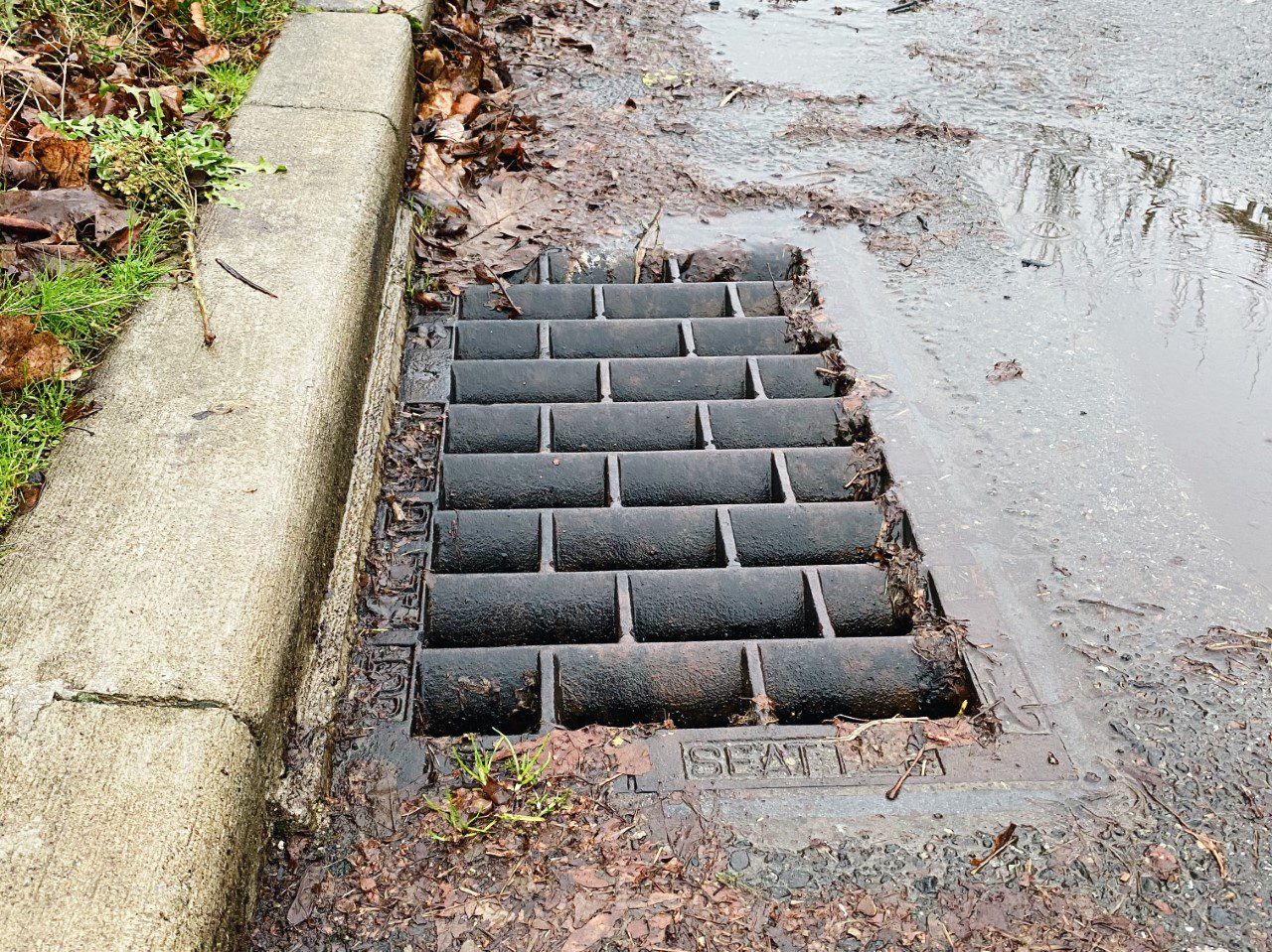 A storm drain in Seattle. Keeping these drains clear helps keep water out of the street. Leaves and debris are near the drain, along the curb.