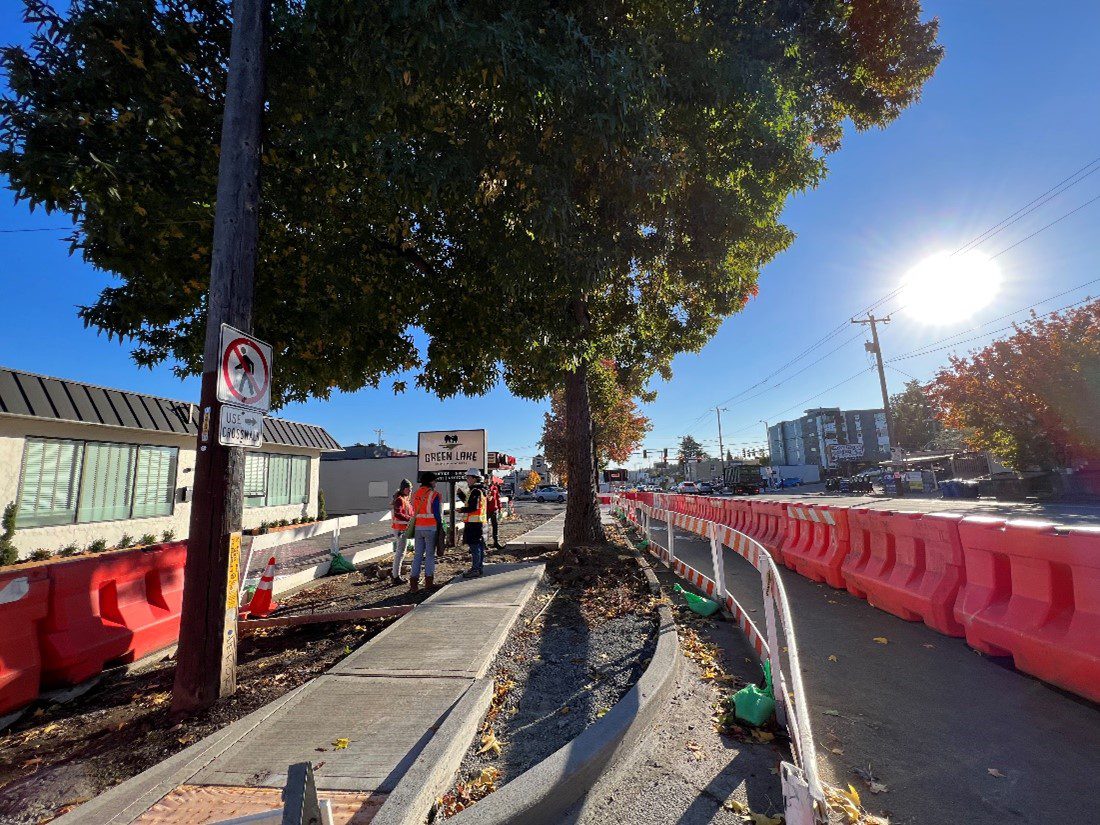 A large tree with green leaves stands tall on a sunny day. Next to the tree is a sidewalk under construction and large orange barrier from traffic of the street. A pole with a sign is on the left and people working stand in the middle.