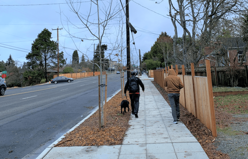 Two people walk down a new sidewalk on a cloudy day. Woodchips and a fence are on either side of them.