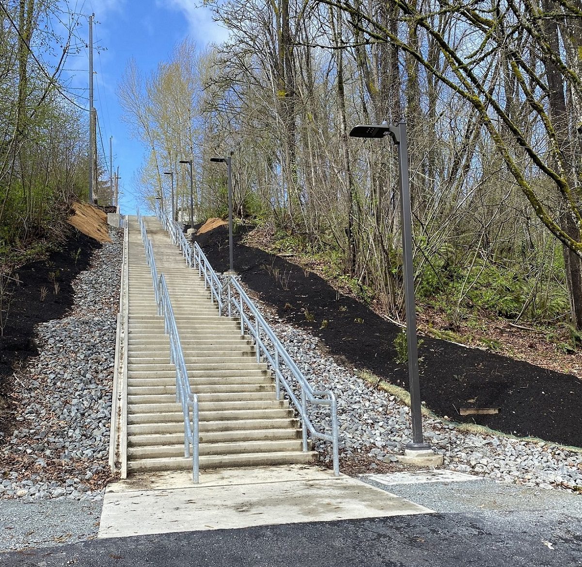 A large outdoor staircase travels up a hillside with rocks, dirt, and medium-sized trees and shrubs to the sides. A light post is to the right of the staircase. Blue skies are above.