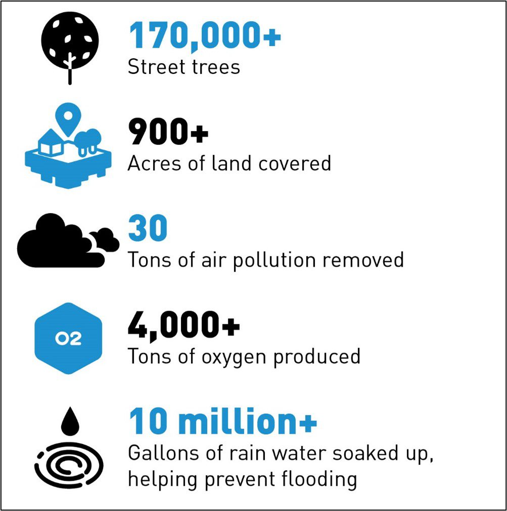 Infographic highlighting street tree information from 2022. The graphic notes there are 170,000+ street trees, 900+ acres of land covered, 30 tons of air pollution removed, 4,000+ tons of oxygen produced, and 10 million+ gallons of rain water soaked up, helping prevent flooding.