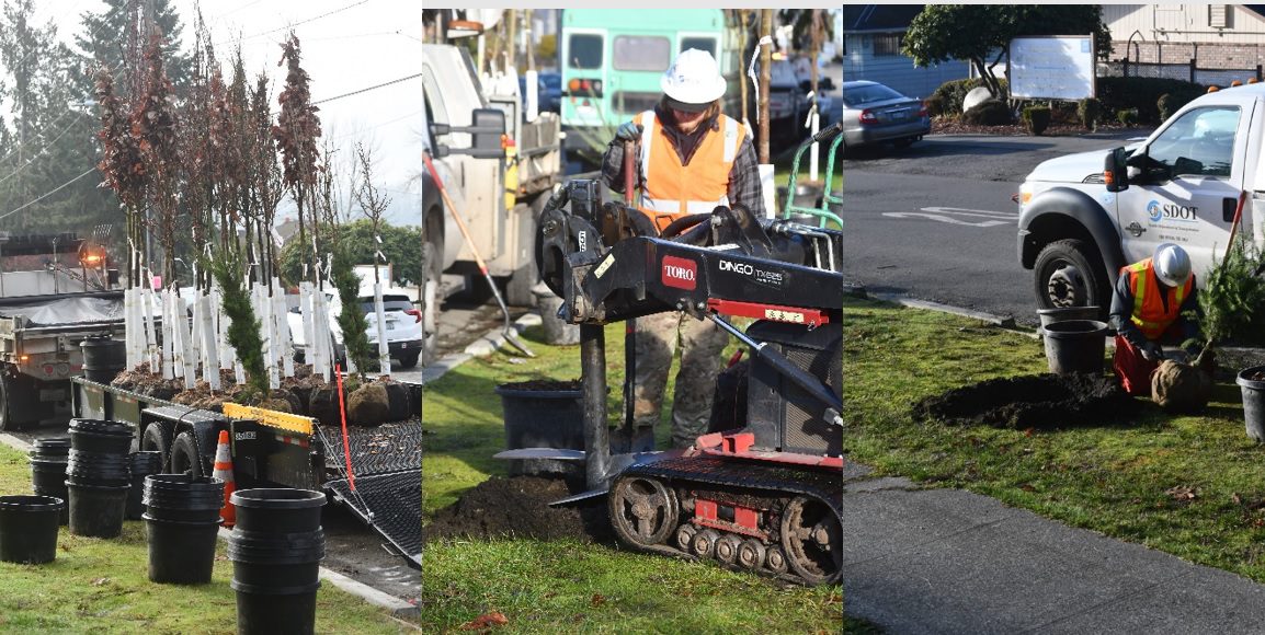 A photo collage of tree planting activities taking place. In the left image, several trees are on the back of a flatbed truck's cargo area. In the middle image, a person works to create space to plant a tree using heavy machinery. On the right, a worker prepares to plant a tree, next to a white work truck.