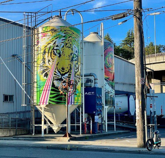 Two water tanks, one with a colorful tiger painted on it.
