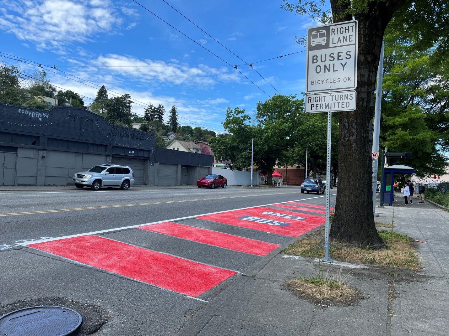 A red painted lane along a street on a sunny day. The lane includes the words "Bus Only". A sign also states that the right lane is for buses only, bicycles are OK, and right turns are permitted.