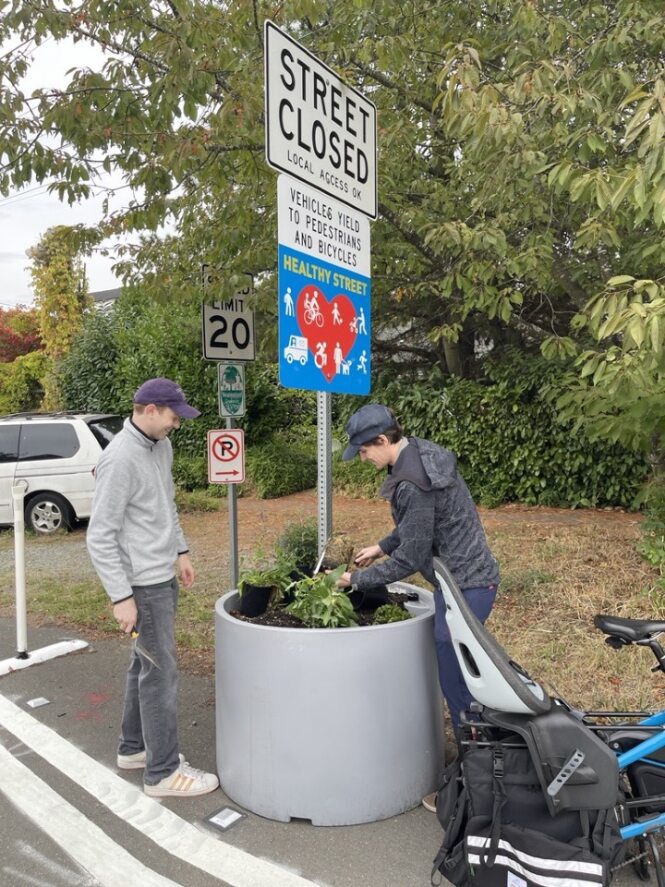 Two people plant potted plants in a large planter bed with a street closed sign and healthy street sign above, with large trees in the background.