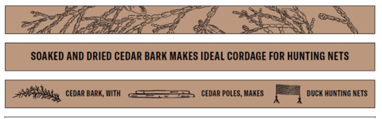 Graphic showing example of interpretive signage. Three long brown rectangles contain pictures of tree branches and words including "soaked and dried cedar bark makes ideal cordage for hunting nets" and "Cedar bark, with cedar poles, makes duck hunting nets."